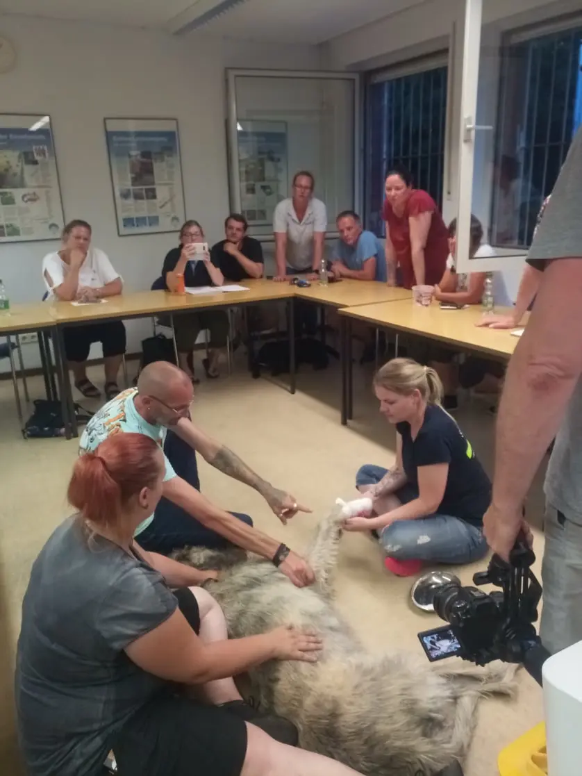 Mobirise erstehilfebeimHund.de,Erste Hilfe am Hund, Hundeschule Iserlohn, Kai Dahlhaus