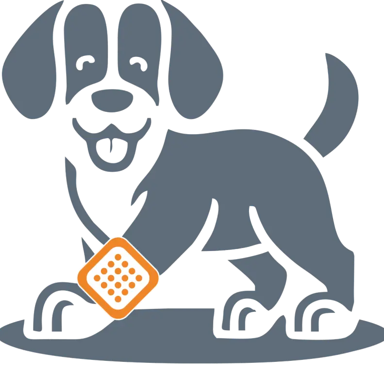 Erste Hilfe, Erste Hilfe am Hund, Erste Hilfe beim Hund, Hundeschule Iserlohn